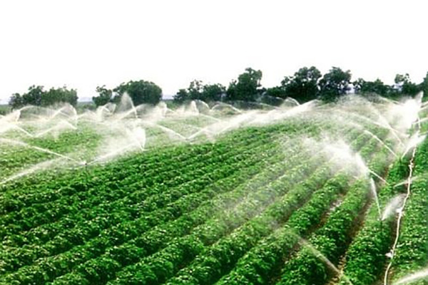 Irrigazione agricola