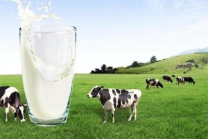 Dairy industry